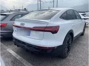 Gebraucht Audi Q8 e-tron 300 kW (408 PS) 2023 Weiß (gletscherweiss metallic) SUV
