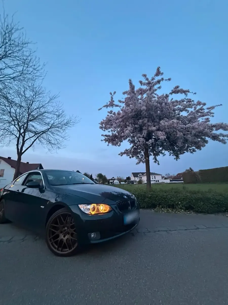 Używany BMW 330 231 KM (169 kW) 2008 Zielony Coupe
