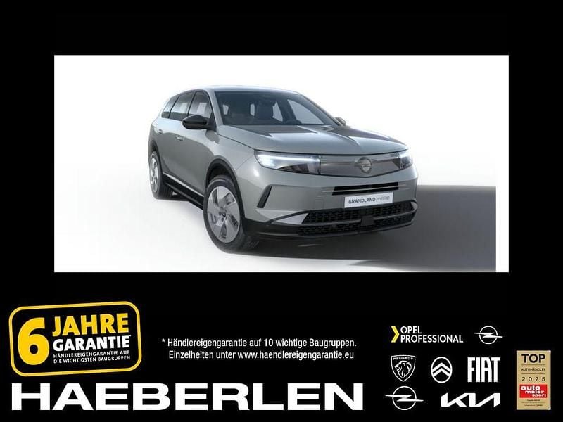 Grafik Neu 2025 Opel Grandland X Edition SUV | 30.595 € (Guter Preis) - Bild 1/4