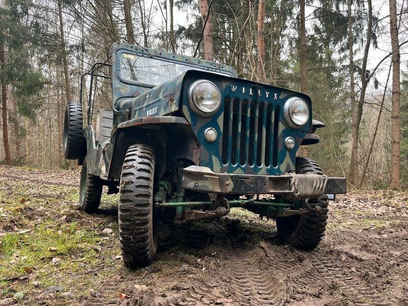 Grün Gebraucht 1954 Jeep Willys SUV | 14.000 € - Bild 1/4