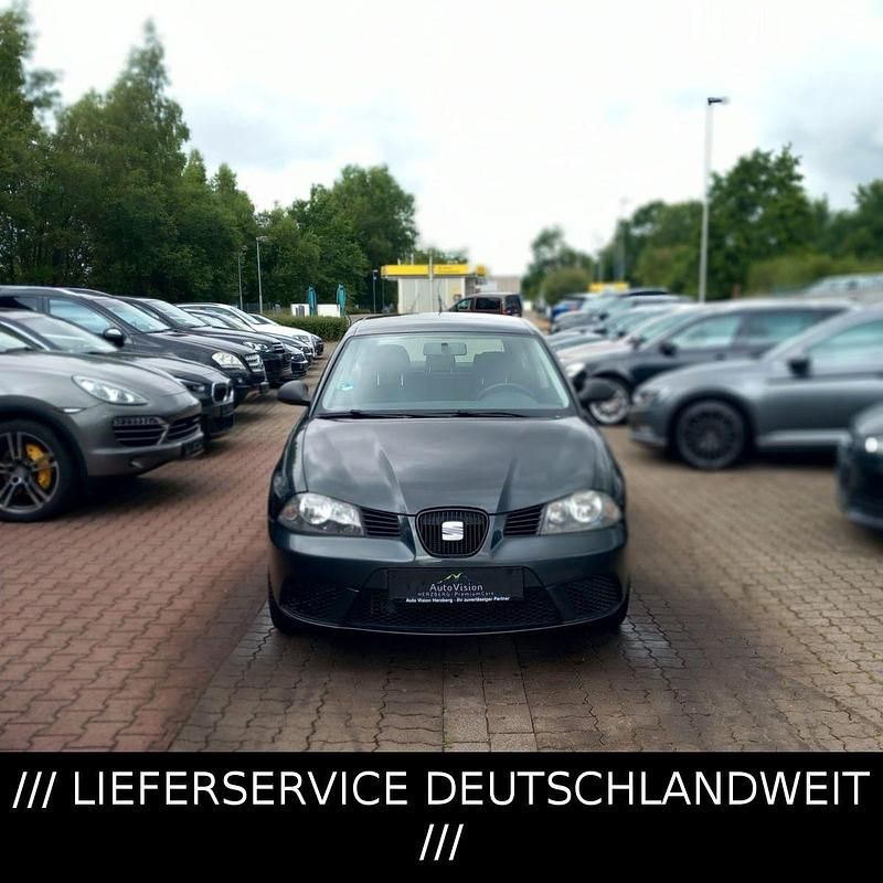 Gebraucht Seat Ibiza 69 PS (50 kW) 2009 Grau Kleinwagen