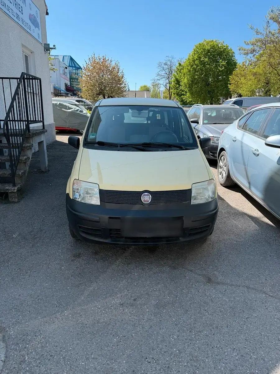 Usata Fiat Panda 2009 Giallo Utilitaria