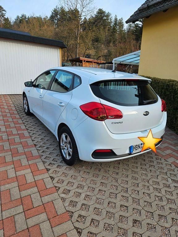 Gebraucht Kia Ceed Edition 7 99 PS (72 kW) 2015 Weiß Kleinwagen