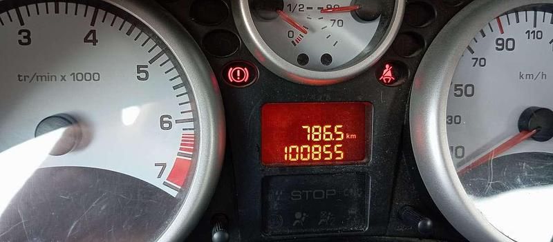 Gebraucht Peugeot 206 60 PS (44 kW) 2009 Rot Limousine