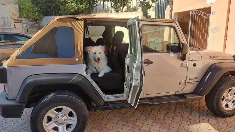 Gebraucht Jeep Wrangler 284 PS (208 kW) 2015 SUV