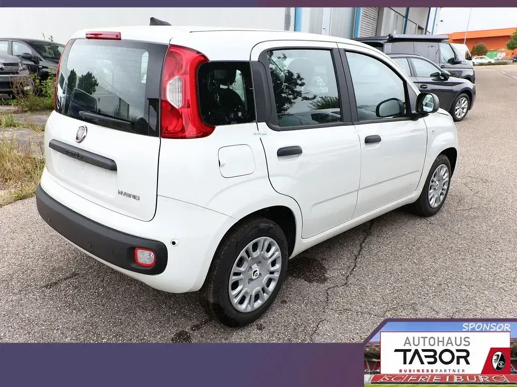 Neu Fiat Panda 69 PS (50 kW) 2025 Gelato weiß Kleinwagen