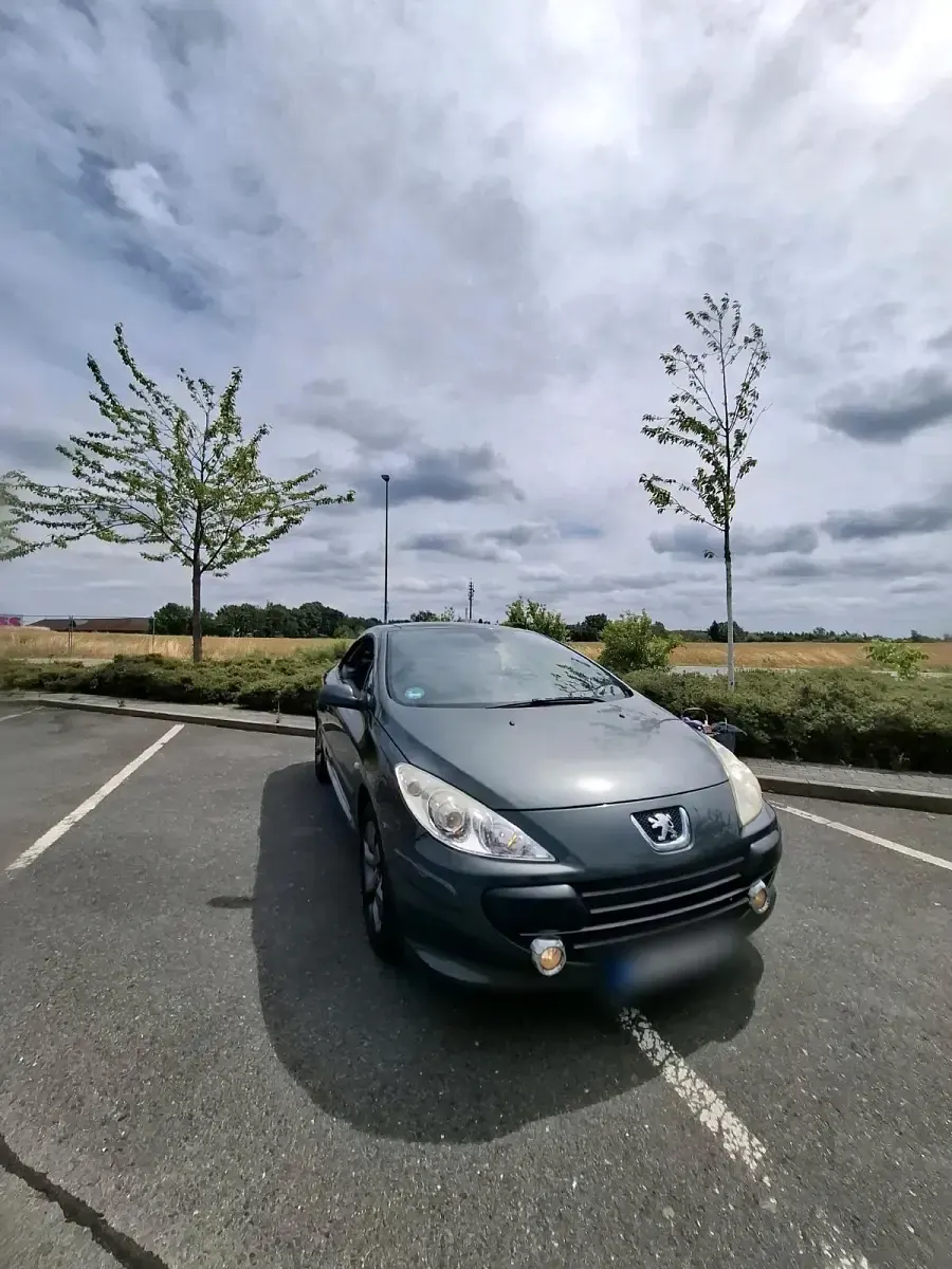 Gebraucht Peugeot 307 CC 140 PS (102 kW) 2006 Grau Cabrio