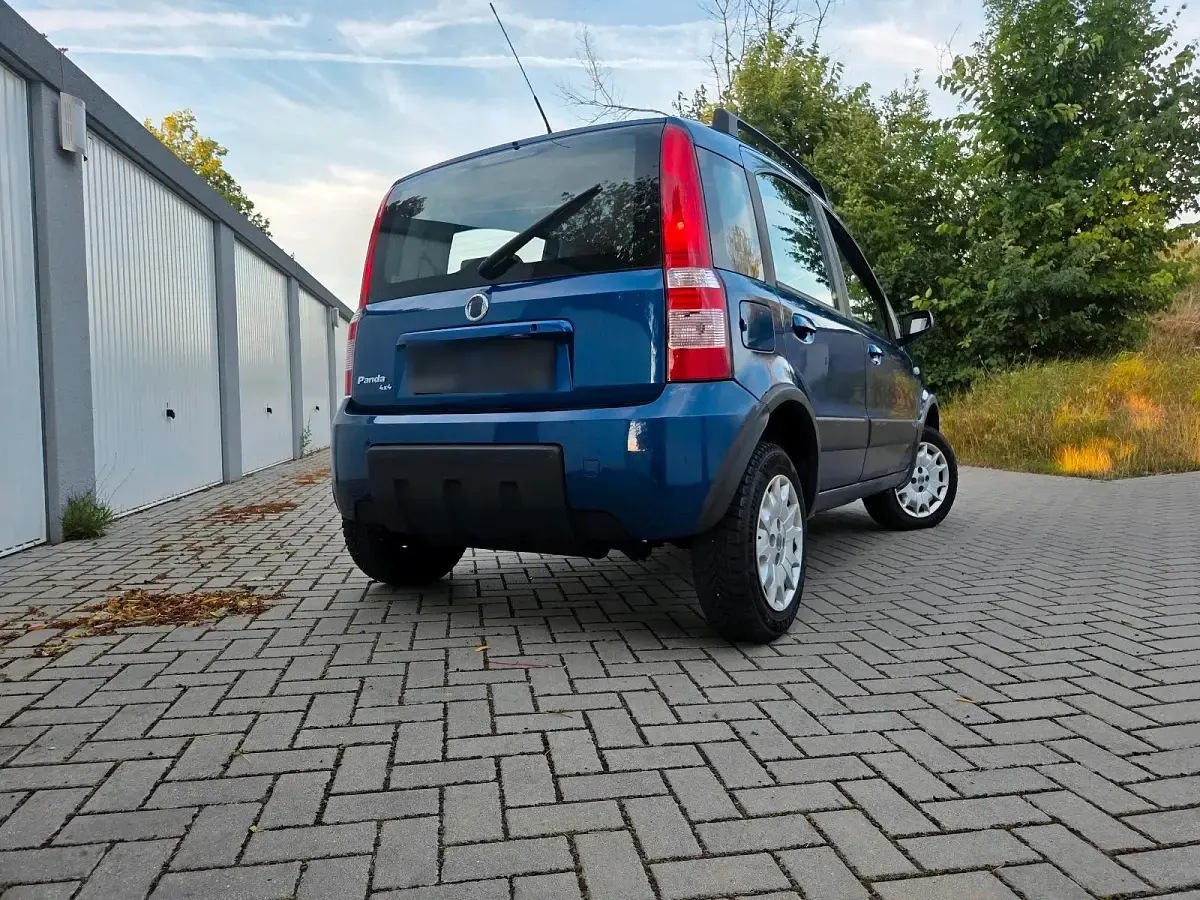 Gebraucht Fiat Panda 4x4 60 PS (44 kW) 2006 Blau Kleinwagen