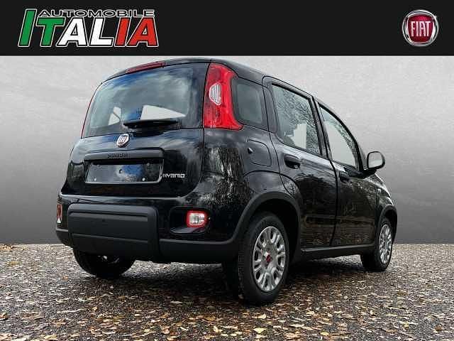 Gebraucht Fiat Panda 69 PS (50 kW) 2024 Schwarz Kleinwagen