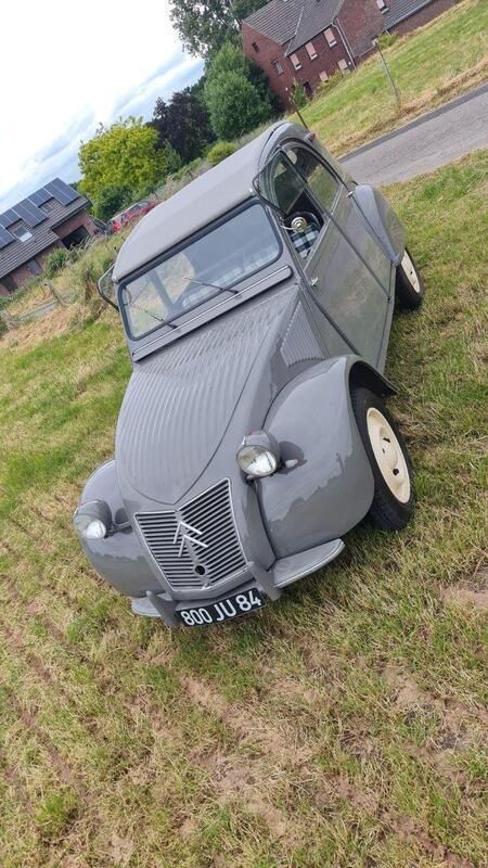 Grau Gebraucht 1953 Citroën 2CV Limousine | 17.500 € - Bild 1/4