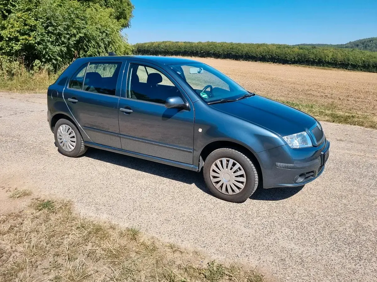 Gebraucht Skoda Fabia 75 PS (55 kW) 2004 Grau Kleinwagen