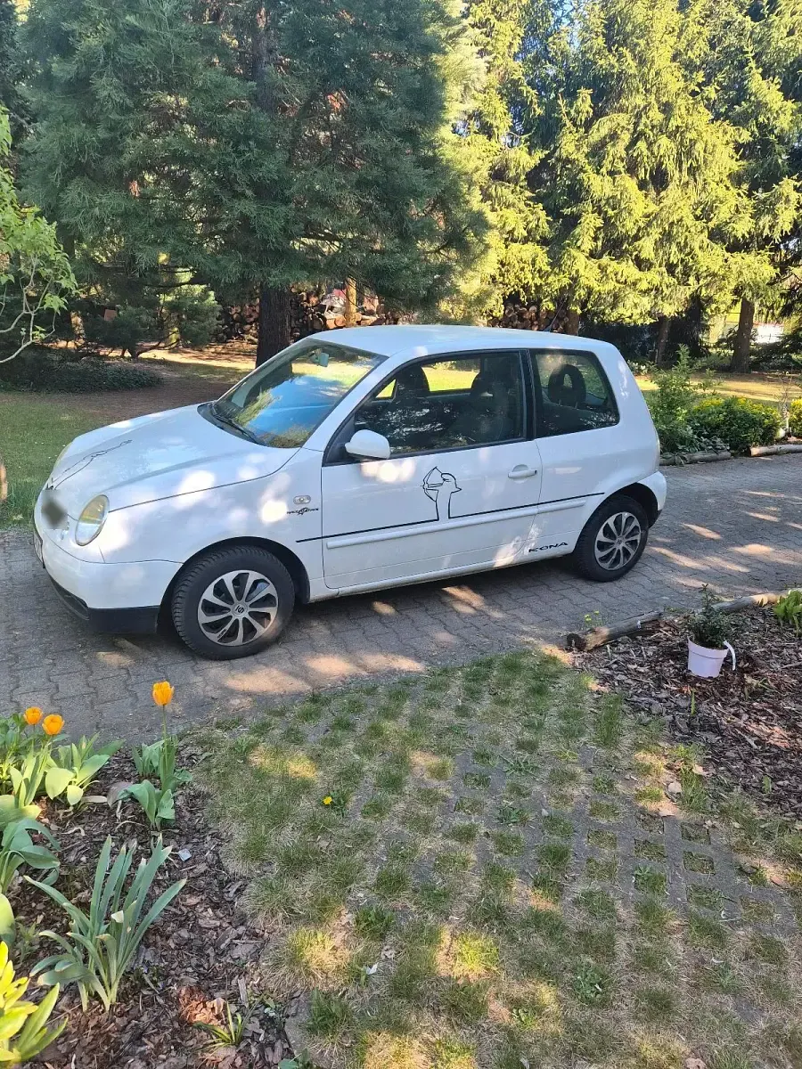 Używany VW Lupo 50 KM (36 kW) 2003 Biały Hatchback
