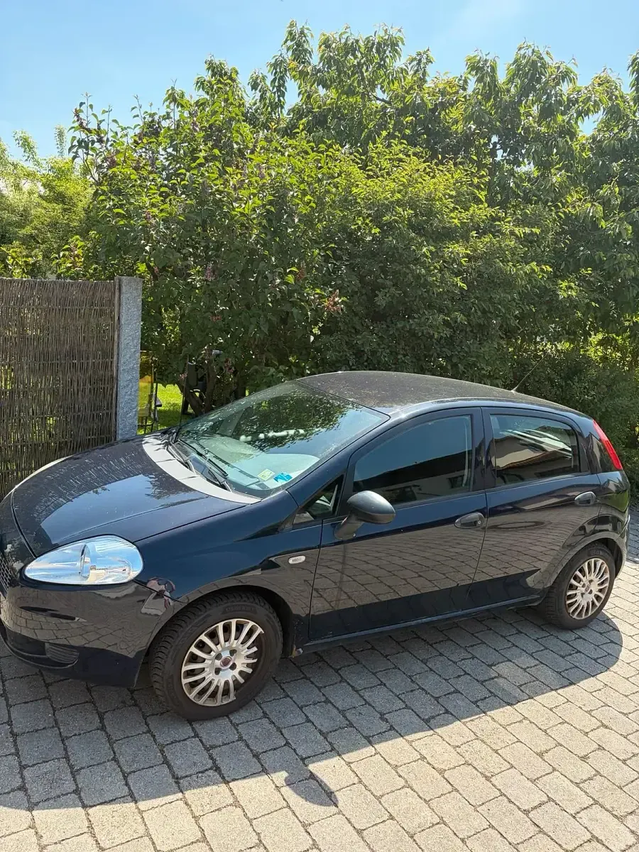 Gebraucht Fiat Punto 65 PS (47 kW) 2009 Blau Kleinwagen
