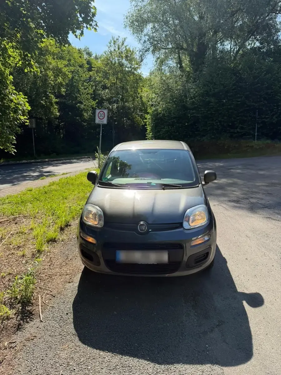 Gebraucht Fiat Panda 69 PS (50 kW) 2019 Grau Kleinwagen