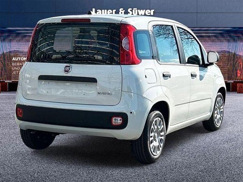 Neu Fiat Panda 69 PS (50 kW) 2025 Weiß Kleinwagen
