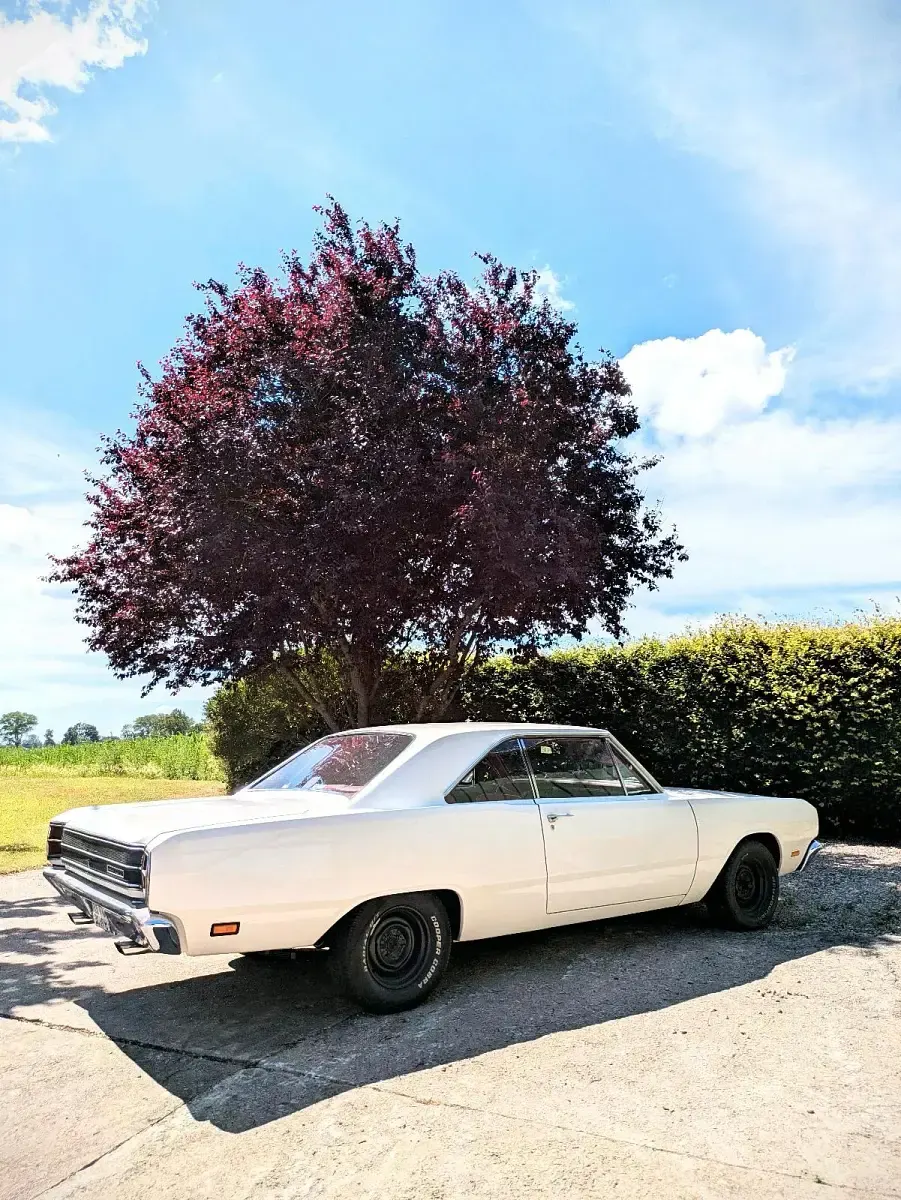 Gebraucht Dodge Dart 300 PS (220 kW) 1969 Coupé