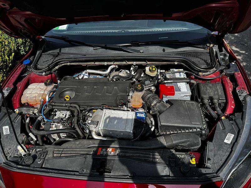 Gebraucht Ford Focus ST-Line X 150 PS (110 kW) 2020 Rot Limousine