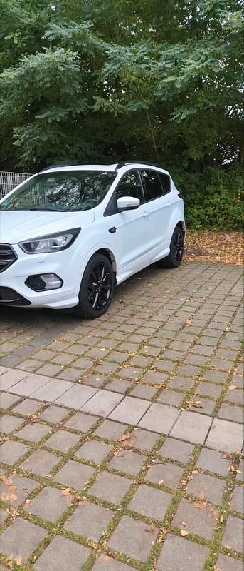 Gebraucht Ford Kuga ST-Line 150 PS (110 kW) 2019 Weiß SUV