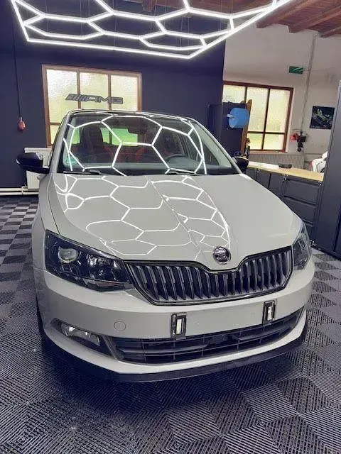 Gebraucht Skoda Fabia Monte Carlo 90 PS (66 kW) 2017 Grau Kleinwagen