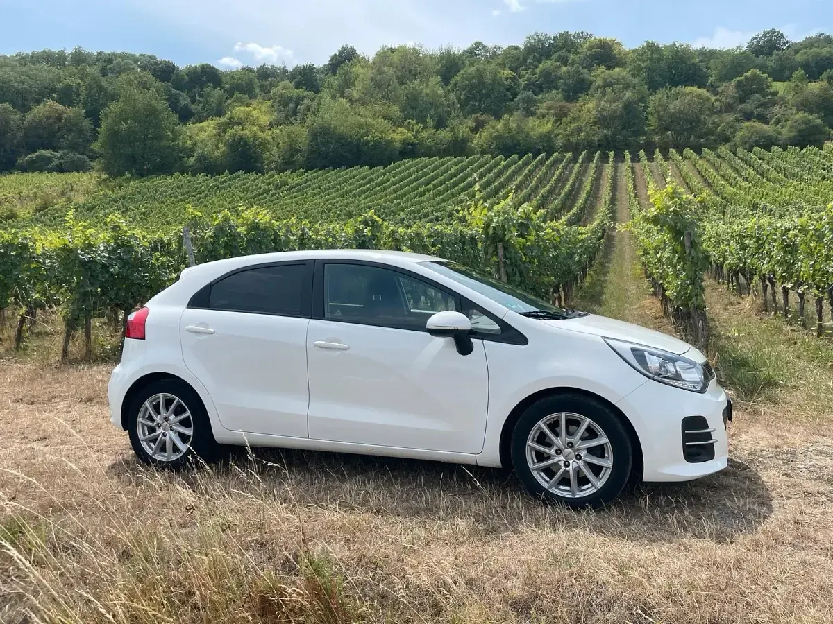 Gebraucht Kia Rio 110 PS (80 kW) 2017 Weiß Kleinwagen