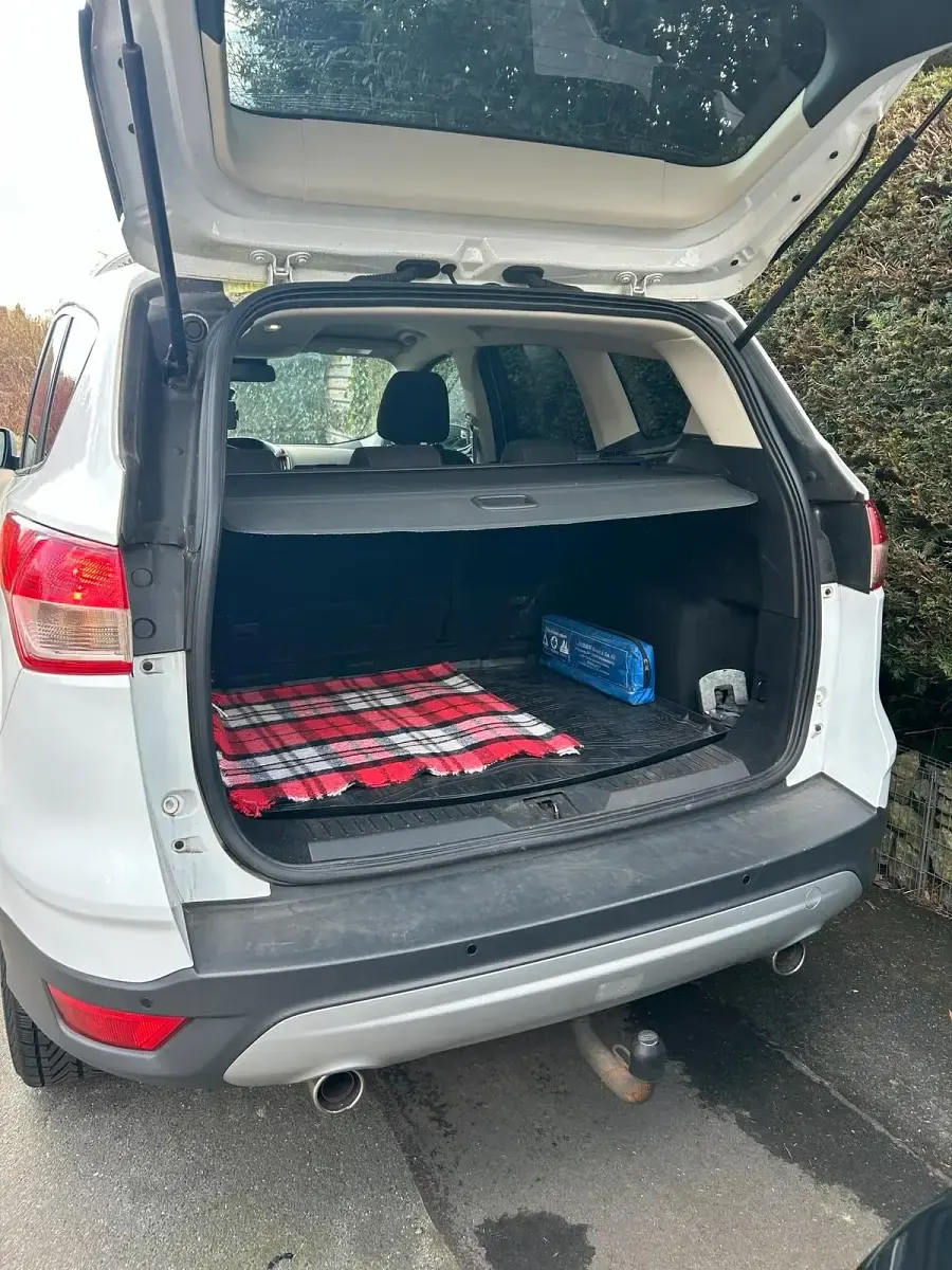 Gebraucht Ford Kuga 120 PS (88 kW) 2015 Weiß SUV