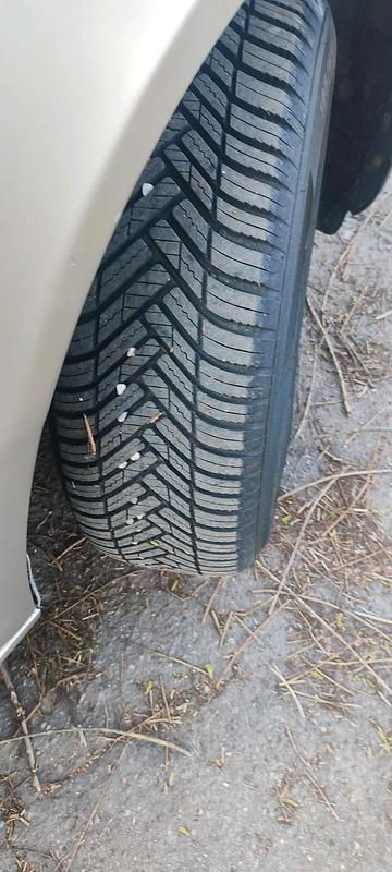 Gebraucht Skoda Octavia 115 PS (84 kW) 2005 Beige Kombi