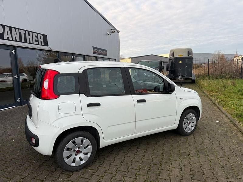 Gebraucht Fiat Panda Easy 69 PS (50 kW) 2018 Weiß Kleinwagen