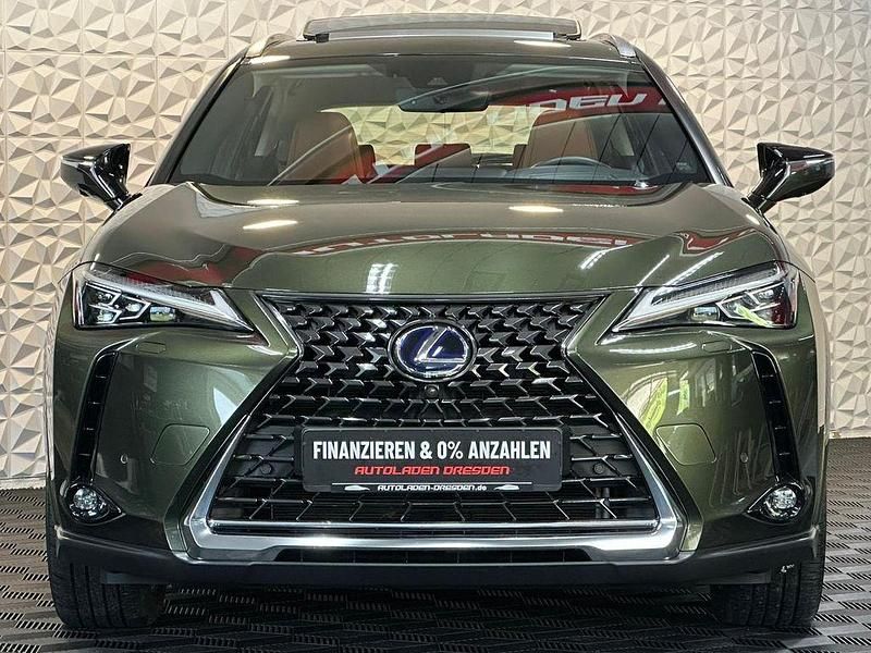 Gebraucht Lexus UX 250h Luxury Line 184 PS (135 kW) 2022 Grün SUV