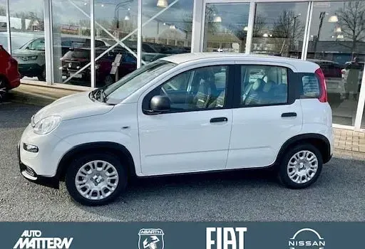 Gebraucht Fiat Panda Cross Cross 65 PS (47 kW) 2025 Weiß Kleinwagen