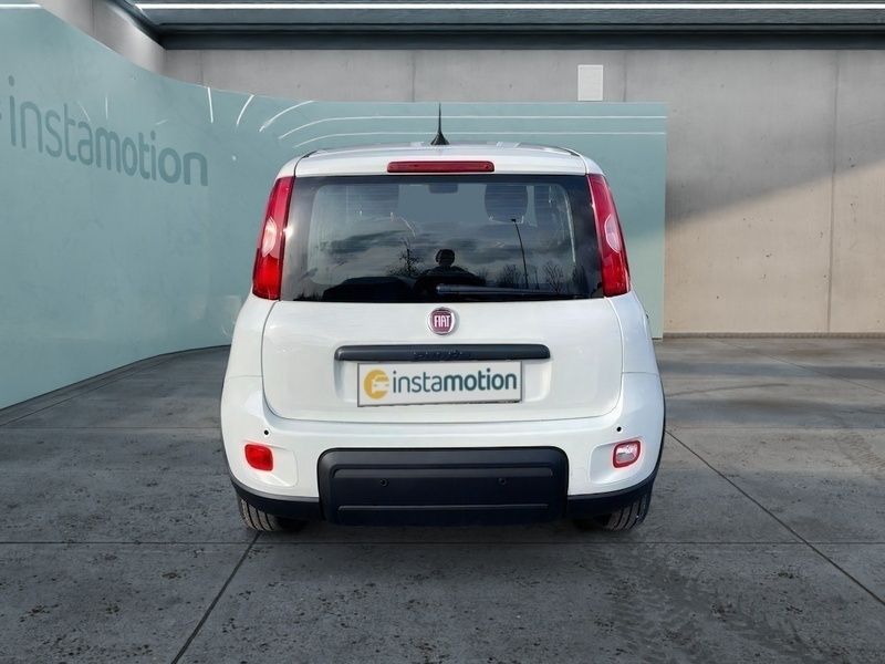 Neu Fiat Panda 69 PS (50 kW) 2025 Weiß Kleinwagen