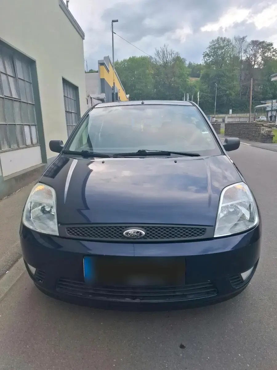 Usata Ford Fiesta 80 CV (58 kW) 2003 Blu Utilitaria