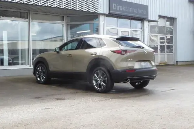 Neu Mazda CX-30 Exclusive-Line 186 PS (136 kW) 2026 Braun SUV