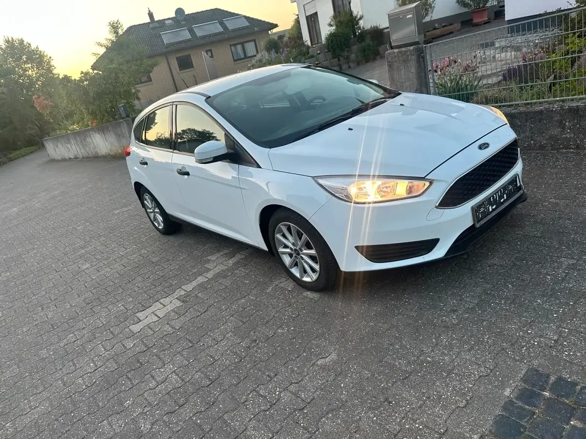 Gebraucht Ford Focus 100 PS (73 kW) 2015 Weiß Kleinwagen