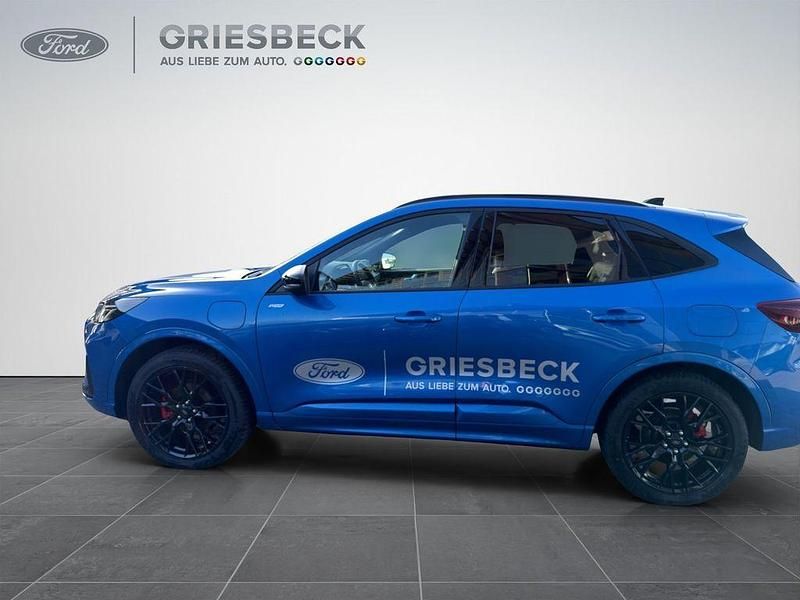 Gebraucht Ford Kuga ST-Line X 242 PS (177 kW) 2026 Desertisland blue metallic SUV