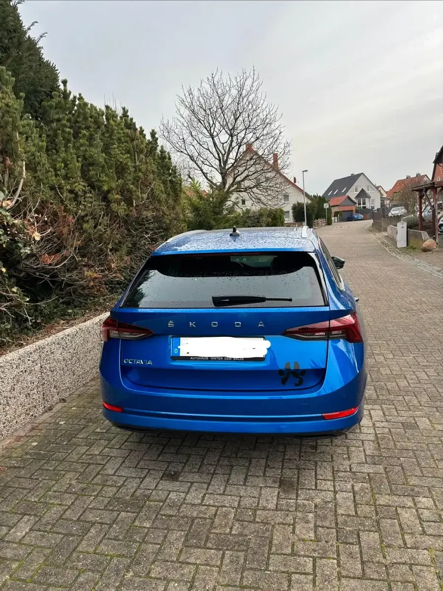 Usata Skoda Octavia 2021 Blu Station wagon