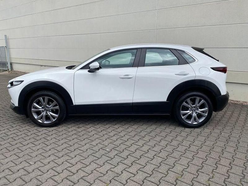 Gebraucht Mazda CX-30 Selection 122 PS (89 kW) 2021 Weiss SUV