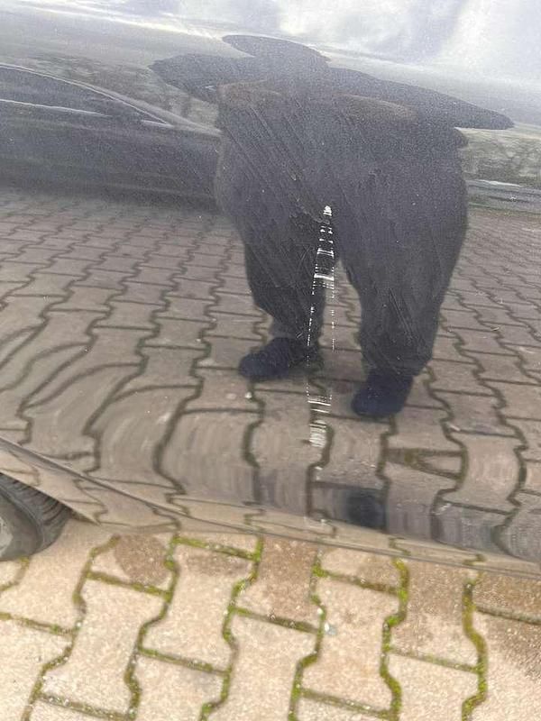 Gebraucht Kia Ceed Edition 7 99 PS (72 kW) 2016 Grau Kleinwagen