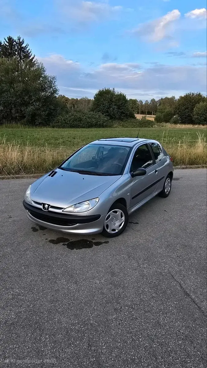 Gebraucht Peugeot 206 60 PS (44 kW) 2001 Silber Kleinwagen