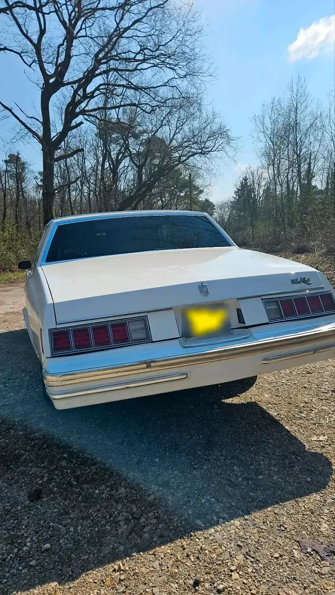 Gebraucht Chevrolet Monte Carlo 160 PS (117 kW) 1978 Weiß Coupé