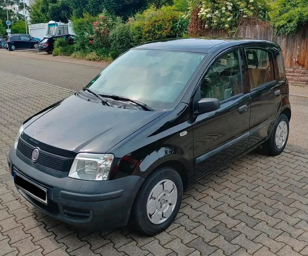 Gebraucht Fiat Panda Active 54 PS (39 kW) 2009 Schwarz Kleinwagen