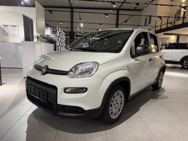Gebraucht Fiat Panda 69 PS (50 kW) 2024 Weiss) (weiss Kleinwagen