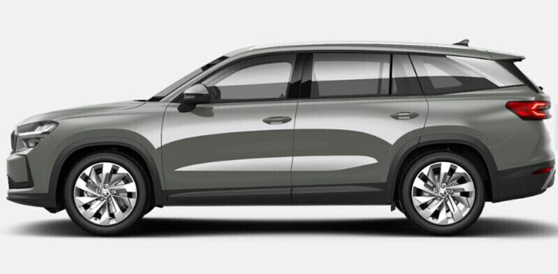 Gebraucht Skoda Kodiaq 150 PS (110 kW) 2024 Grau SUV
