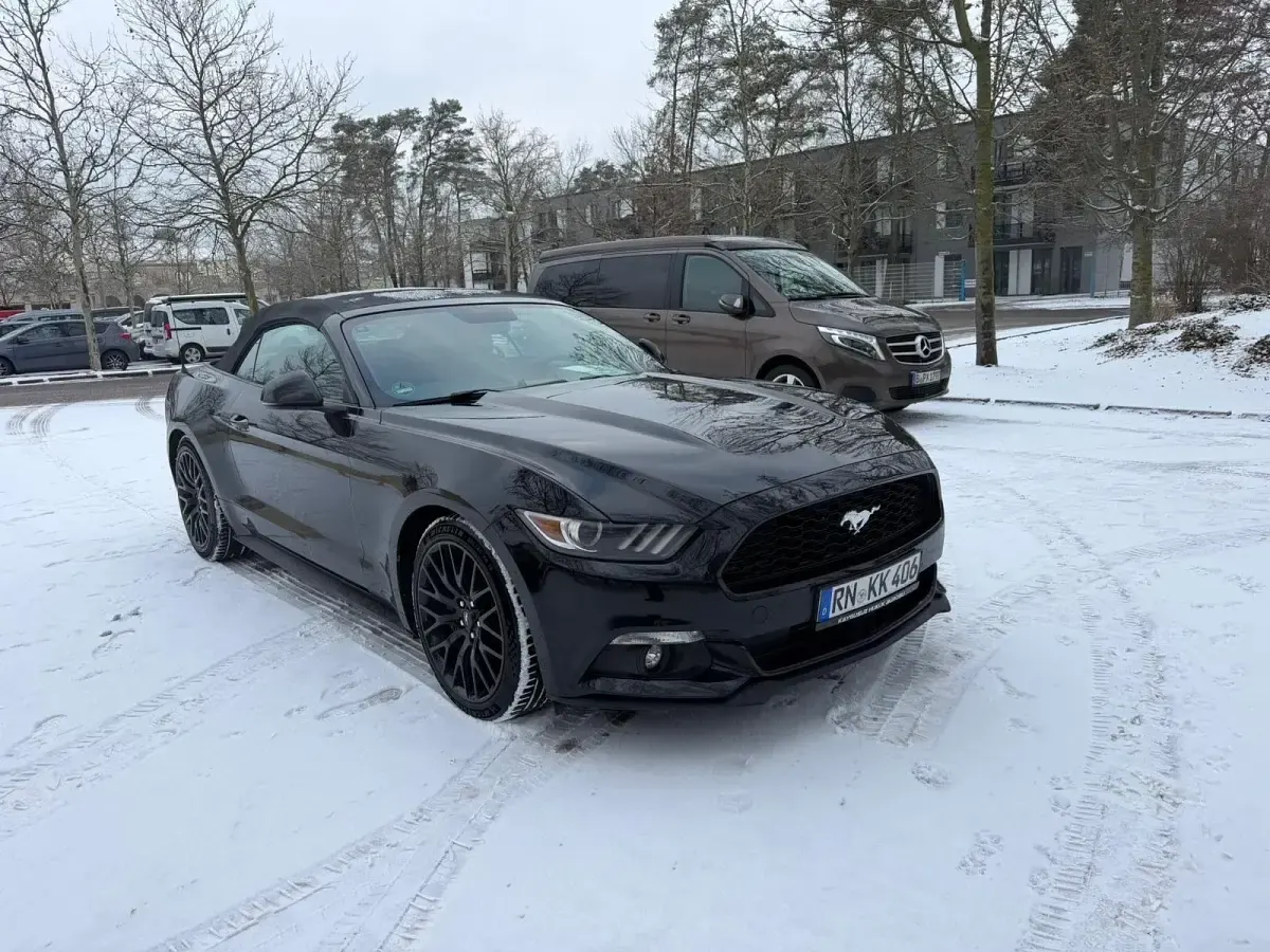 Occasion Ford Mustang Convertible 290 ch (213 kW) 2017 Noir Cabriolet
