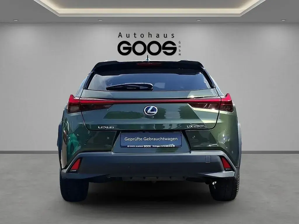Gebraucht Lexus UX 250h 184 PS (135 kW) 2023 Grün SUV