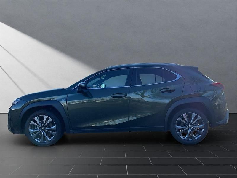 Gebraucht Lexus UX 250h Sport Line 152 PS (111 kW) 2024 Grün SUV