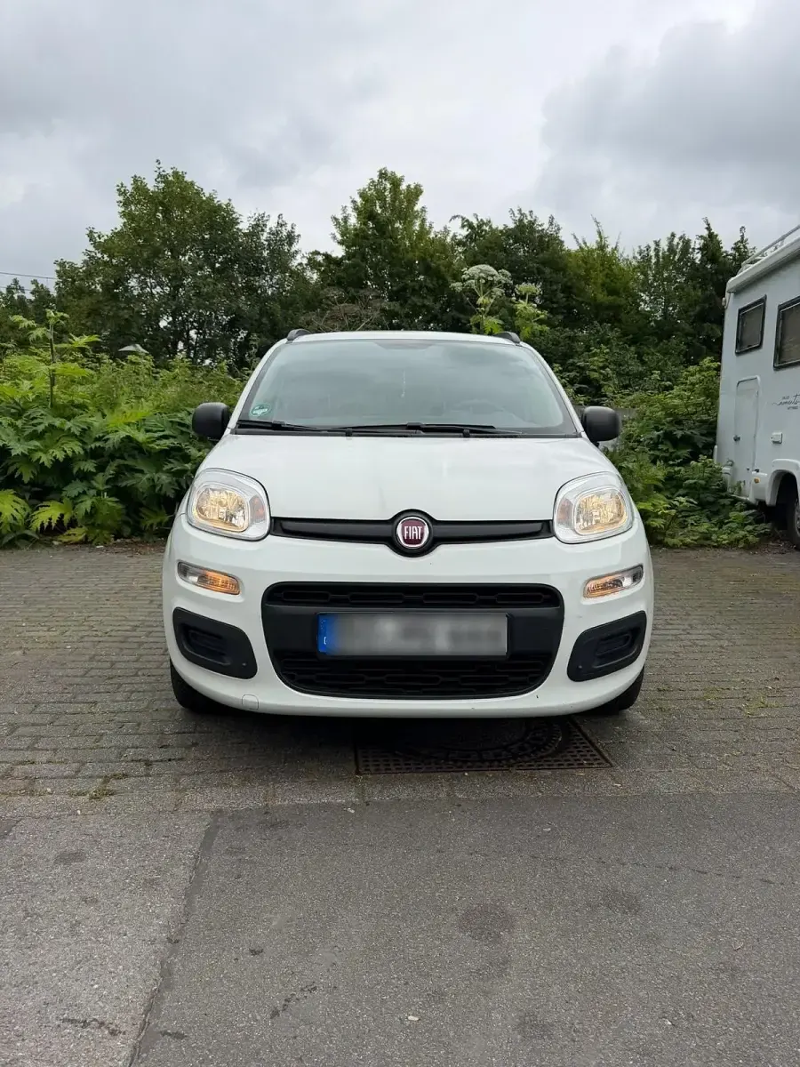 Gebraucht Fiat Panda 69 PS (50 kW) 2019 Weiß Kleinwagen