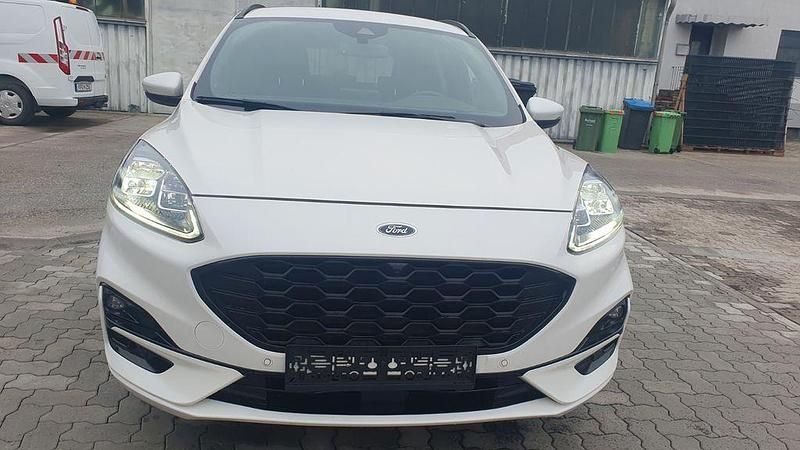 Gebraucht Ford Kuga ST-Line X 150 PS (110 kW) 2020 Weiß SUV