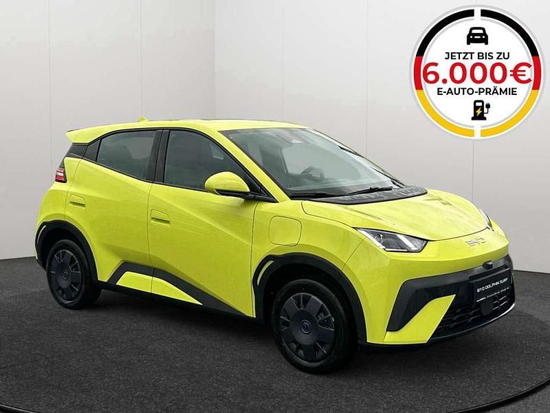 Neu BYD Dolphin Surf Active 64 kW (88 PS) 2026 Lime green Kleinwagen