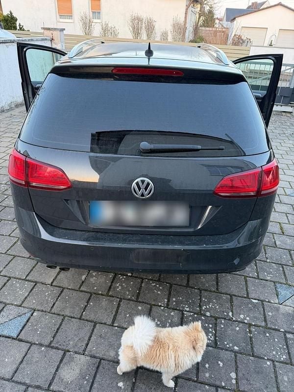 Gebraucht VW Golf VII 150 PS (110 kW) 2017 Grau Kombi