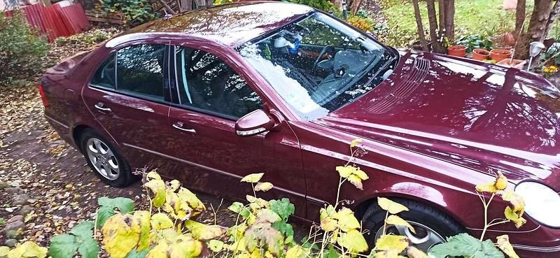 Gebraucht Mercedes E280 Elegance 231 PS (169 kW) 2007 Rot Limousine